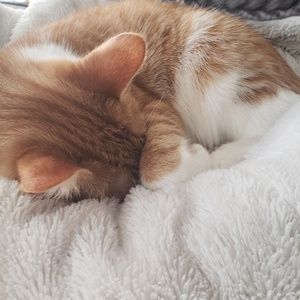 Meet your Posher, Alisa